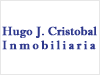 Hugo J. Cristobal