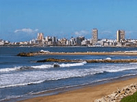 Paola Venturini - Mar del Plata