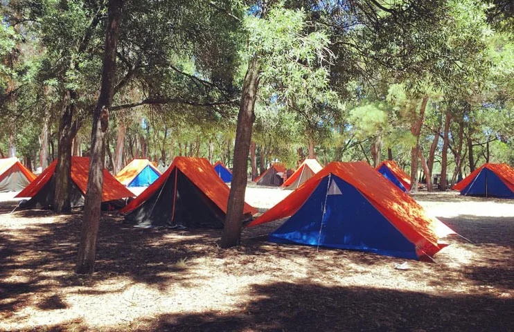 Camping Los Horneros