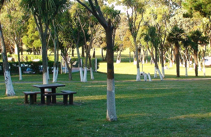 Camping Los Horneros