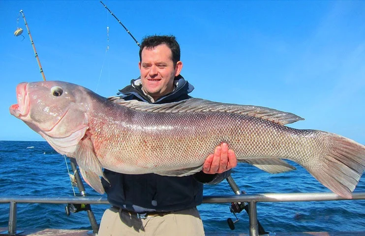 Aquafish – Pesca Deportiva