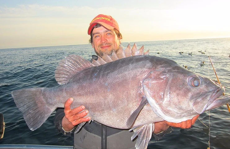 Aquafish – Pesca Deportiva