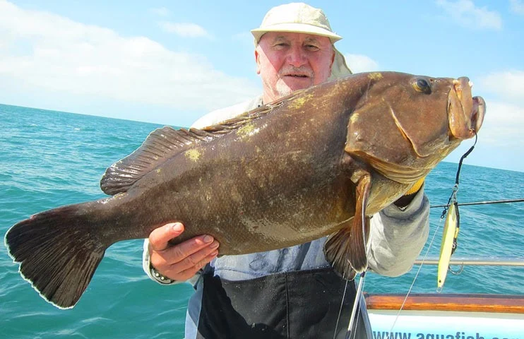 Aquafish – Pesca Deportiva