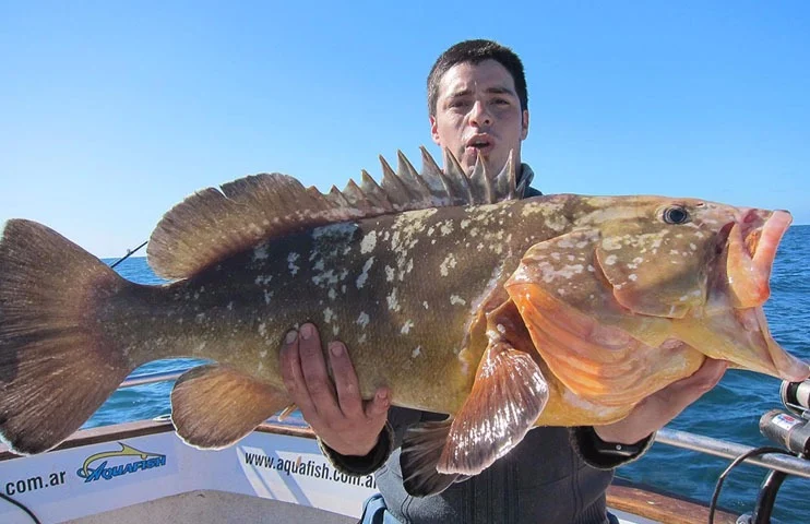 Aquafish – Pesca Deportiva