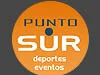 Logo de Punto Sur – Complejo Deportivo