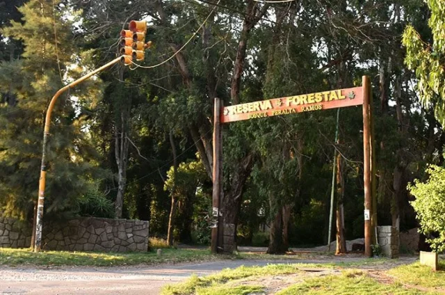 Bosque Peralta Ramos