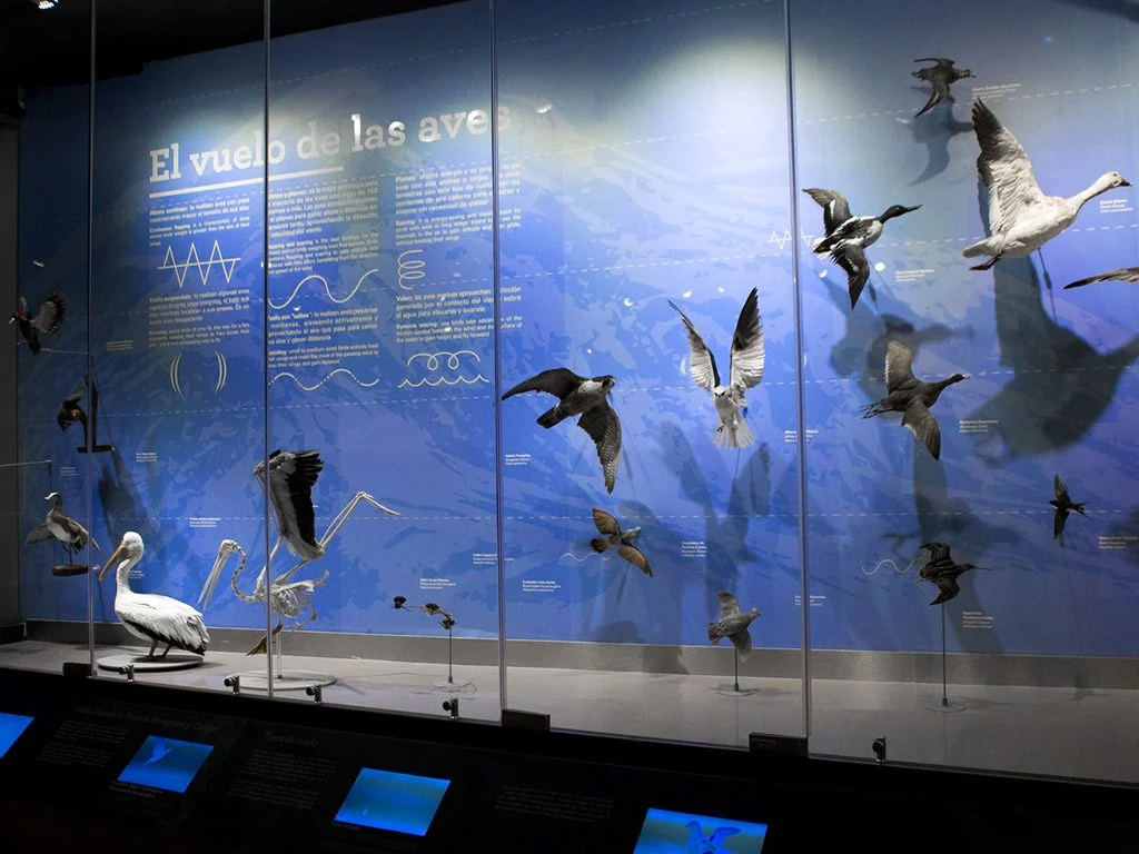 Museo Municipal de Ciencias Naturales «Lorenzo Scaglia»