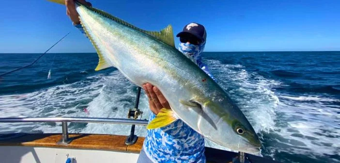 Pesca de altura