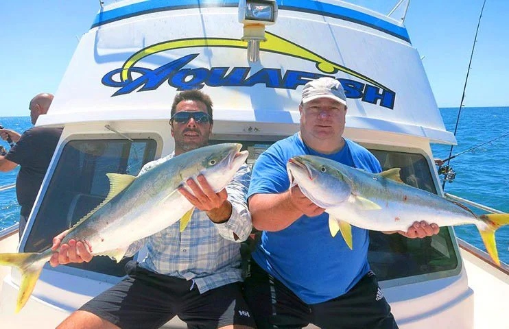 Pesca embarcado