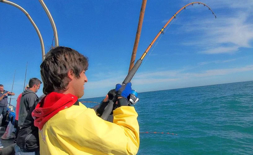 Pesca embarcado