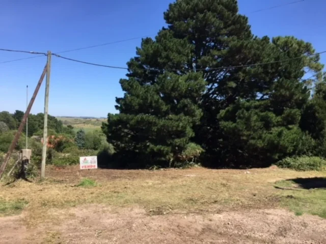 Lotes y terrenos en Venta — Hipolito