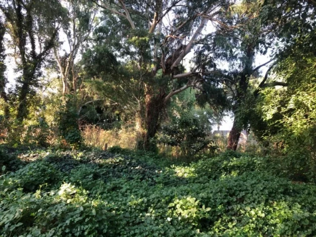 Lotes y terrenos en Venta — Josefina