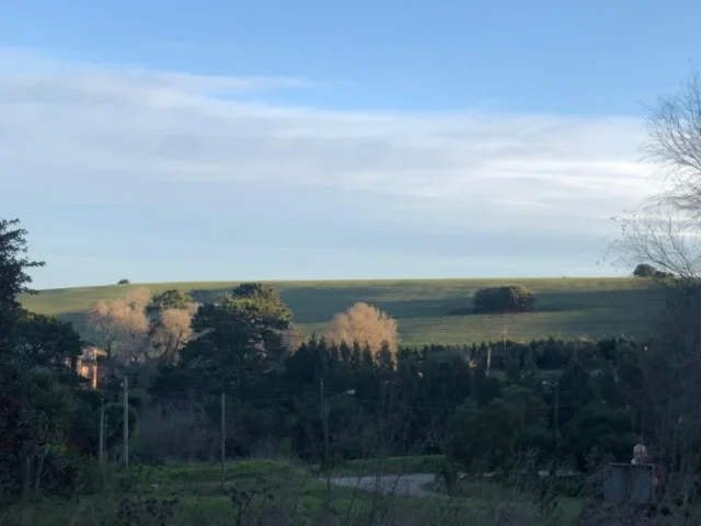 Lotes y terrenos en Venta — Irene