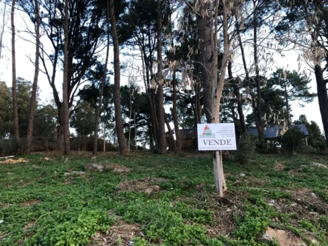 Lotes y terrenos en Venta — Angela