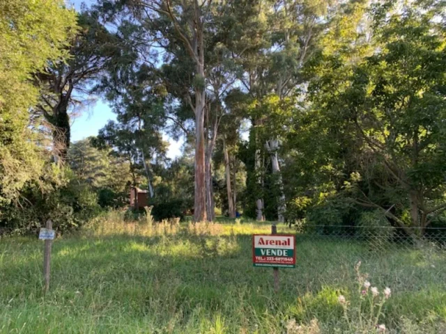 Lotes y terrenos en Venta — Arturo