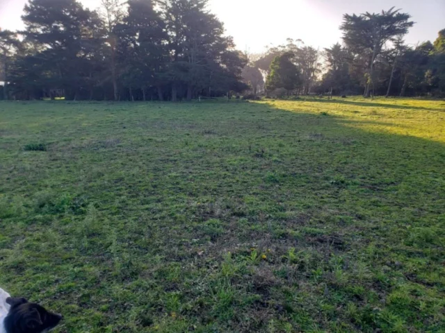 Lotes y terrenos en Alquiler — Tetamanti