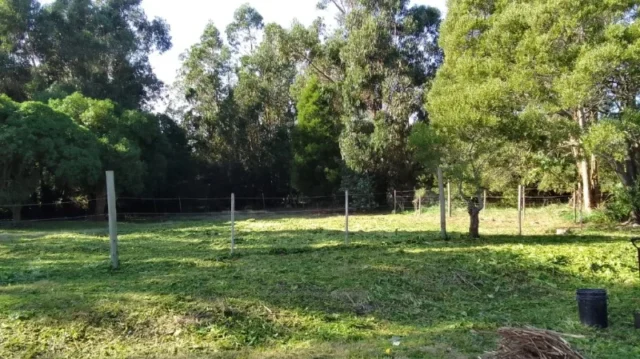 Lotes y terrenos en Venta — R843+4R Colonia Chapadmalal