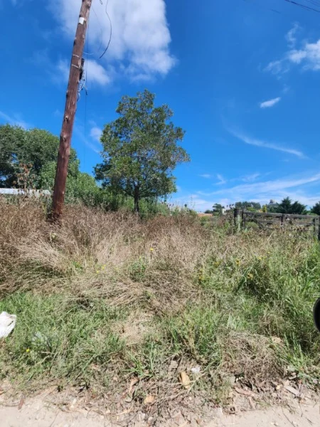 Lotes y terrenos en Venta — Ringuelet