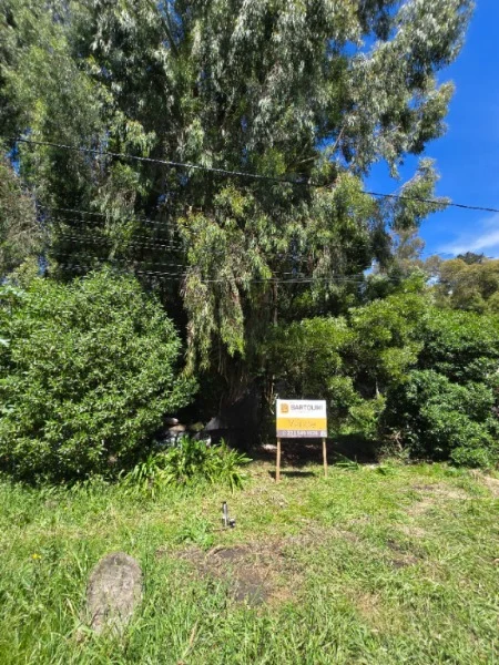 Lotes y terrenos en Venta — Manzana 243