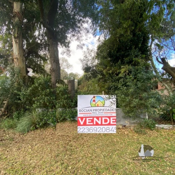 Lotes y terrenos en Venta — plus ultra 2100