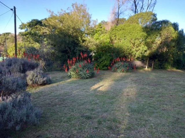 Lotes y terrenos en Venta — Teresa 75