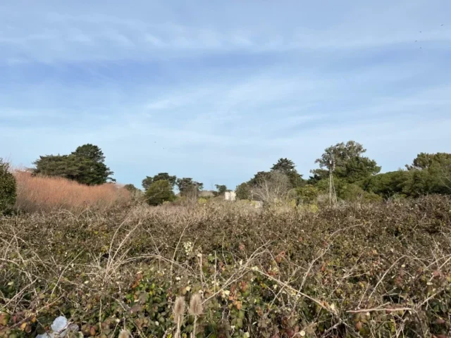 Lotes y terrenos en Venta — Avenida Antártida Argentina y Calle 469