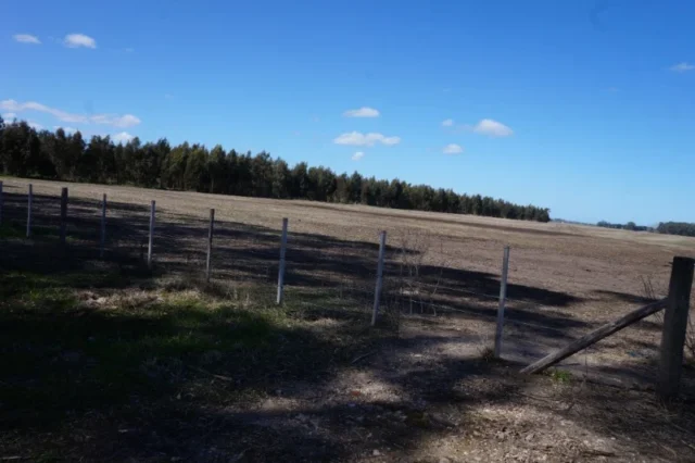 Campos y chacras en Venta — miramar
