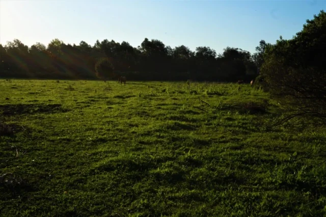 Campos y chacras en Venta — 41