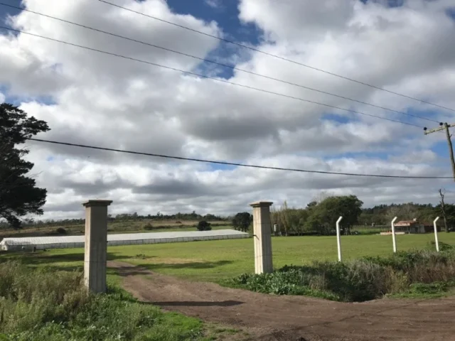 Campos y chacras en Venta — Gloria La Pelegrina