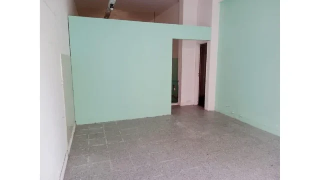 Locales en Venta — Mitre 2100