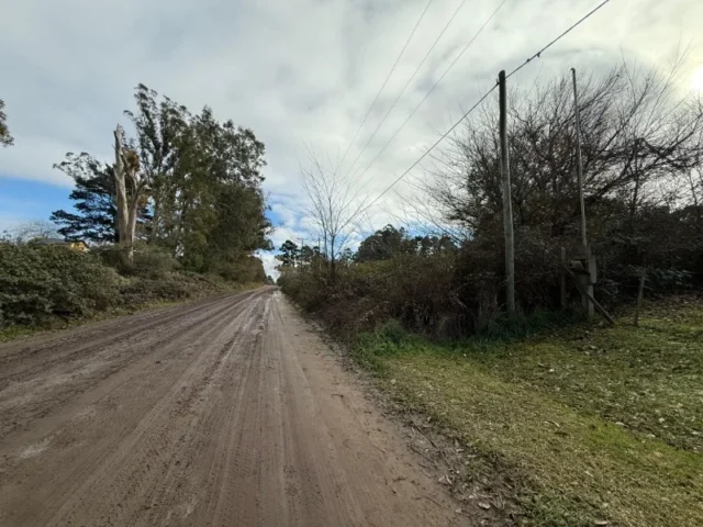 Lotes y terrenos en Venta — Juan Manuel Bordeu 600