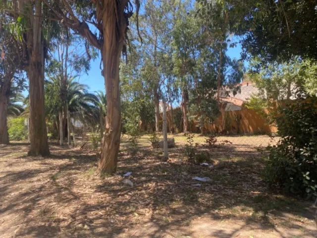 Lotes y terrenos en Venta — Colombres 3308