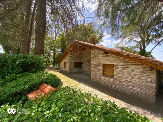 Lotes y terrenos en Venta — Cecilia