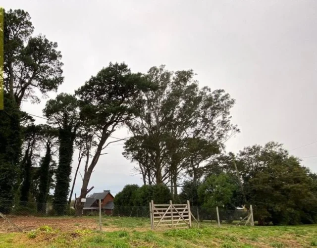 Lotes y terrenos en Venta — Leandro