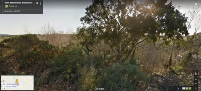 Lotes y terrenos en Venta — San Martin 1421