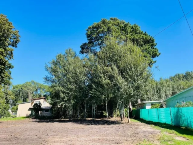 Lotes y terrenos en Venta — C. Ricardo 60