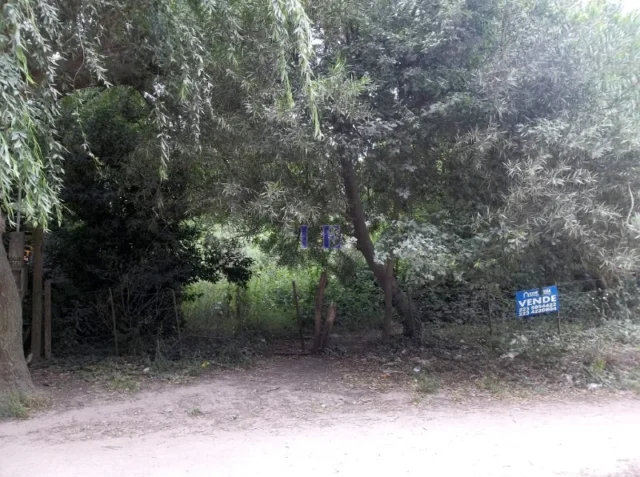Lotes y terrenos en Venta — 461 n° 2257