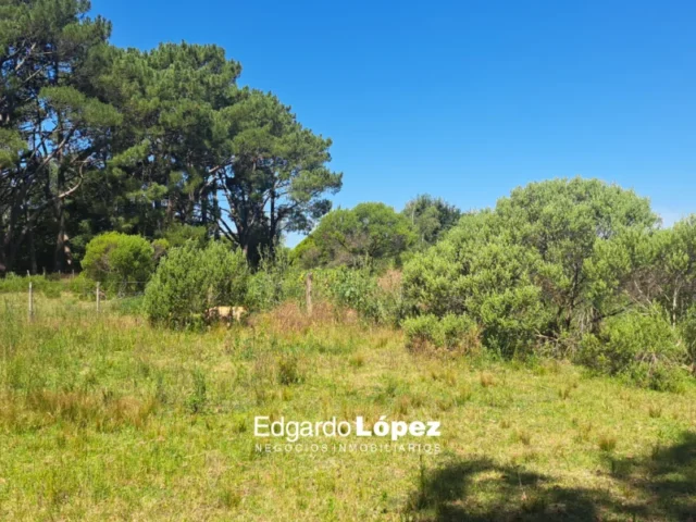 Lotes y terrenos en Venta — 36C5+2P Sierra de los Padres