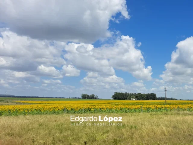 Campos y chacras en Venta — 6748+PW Colonia Barragan