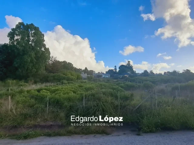 Lotes y terrenos en Venta — Calle 49