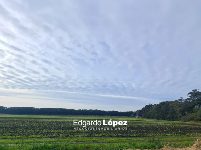 Campos y chacras en Venta — 375Q+H3 Mar del Plata