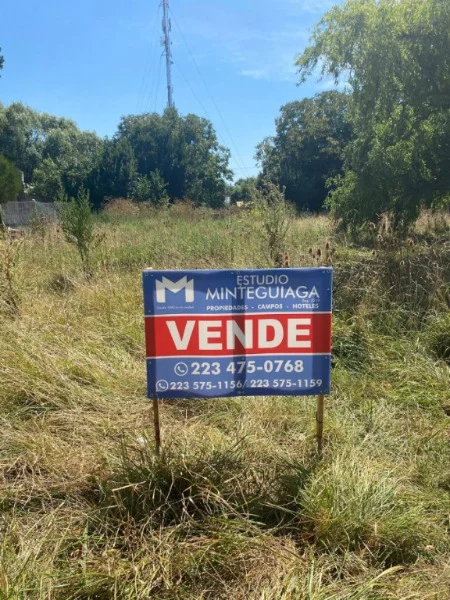 Lotes y terrenos en Venta — Florencio Camet