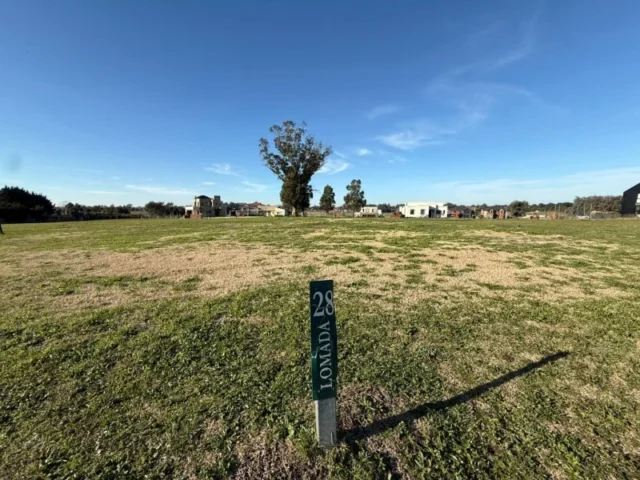 Lotes y terrenos en Venta — Jorge Newbery 3051