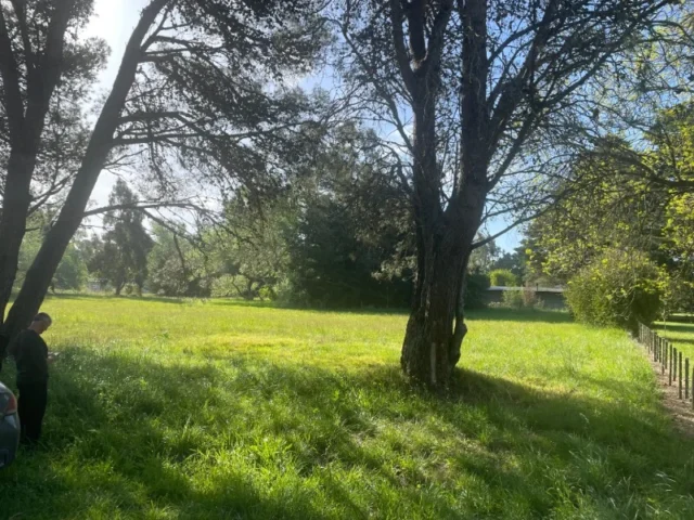 Lotes y terrenos en Venta — 69F8+4R La Armonía
