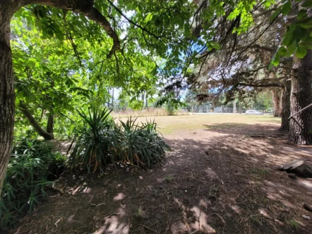 Lotes y terrenos en Venta — Avenida Padre Luis Varetto S/N