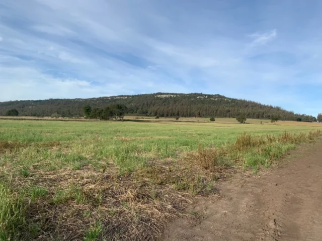 Lotes y terrenos en Venta — 4P25+GX Balcarce
