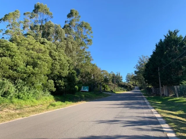 Lotes y terrenos en Venta — C. 51 1900