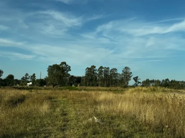 Lotes y terrenos en Venta — C. 9 1279