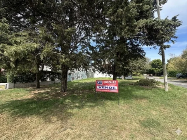 Lotes y terrenos en Venta — Ingenieros y Alice