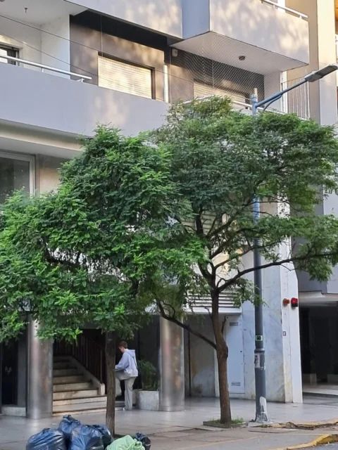 Departamentos, pisos y semipisos en Venta — Catamarca 2030